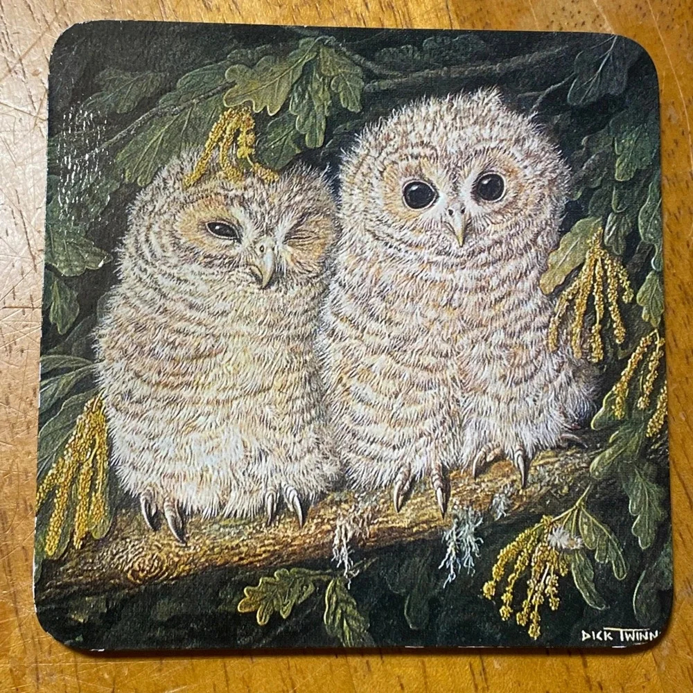 Dick Twinney Owl Coasters Set of 6 Vintage Wildlife Art Multi Color Owls